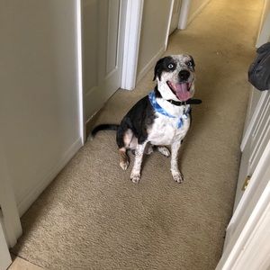 Meet your Posher, Manuel